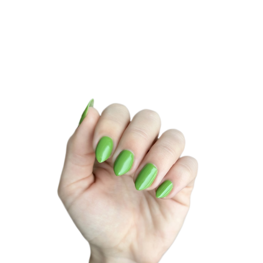 Image provided by GelMoment Independent Distributor Rachel Clemen